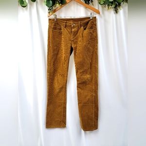 Patagonia corduroy pants